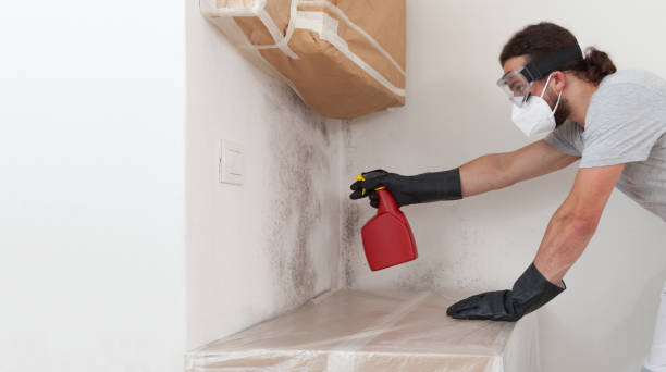 Professional Mold Removal technician working in Flanders, NY