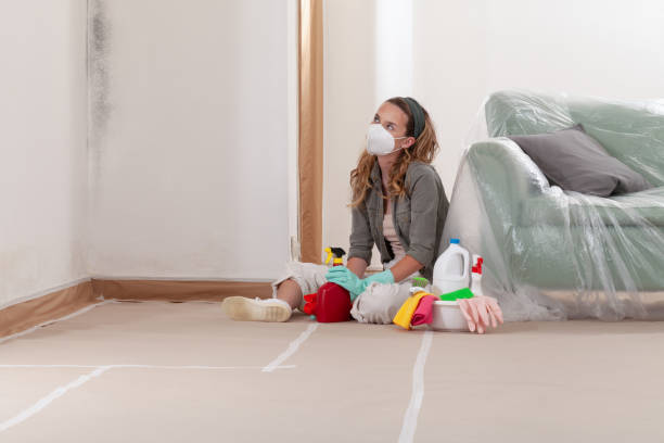 Reliable Mold Removal contractor in Flanders, NY by WQB Mold Removal